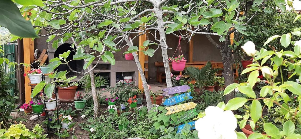 Family House Primorsko Apartment Ngoại thất bức ảnh